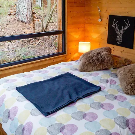 Pet Friendly In With Wifi